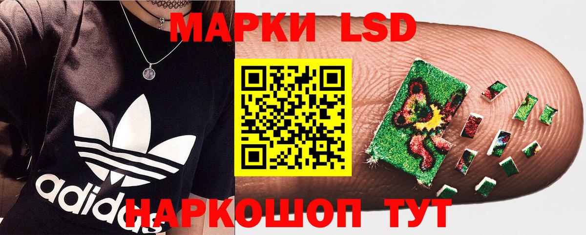 Наркотические марки 1500мкг Новозыбков