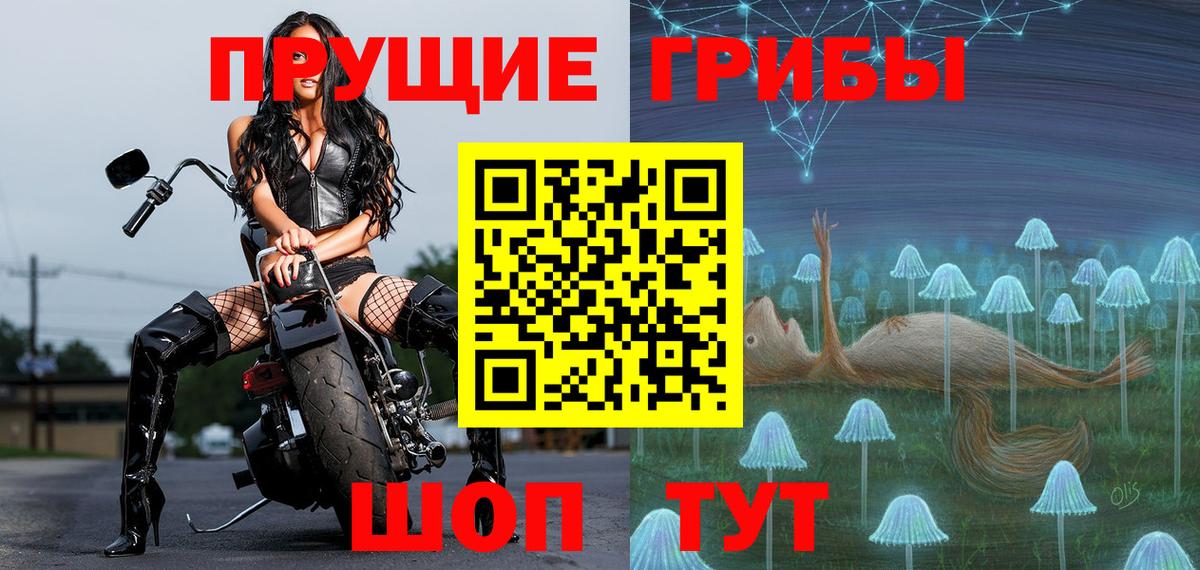 Новозыбков  наркошоп  Вход с VPN  Псилоцибиновые грибы мухоморы  Галлюциногенные грибы Psilocybe 