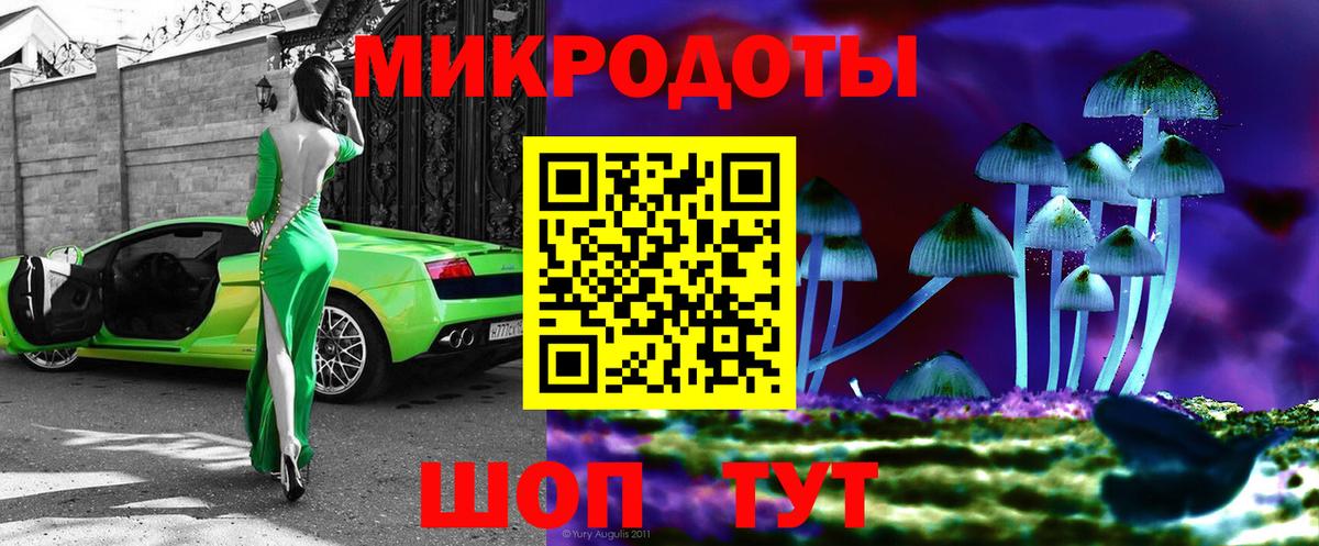 Псилоцибиновые грибы мицелий Новозыбков