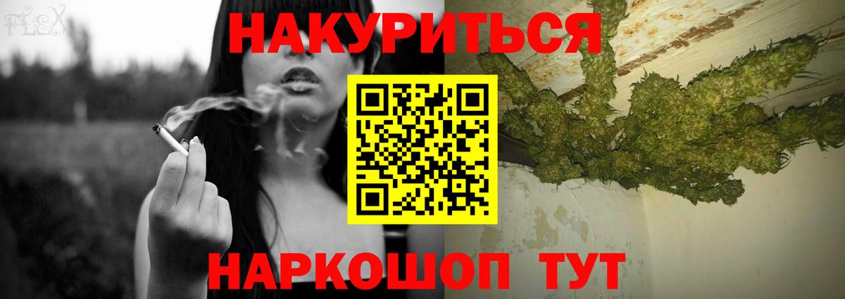 МАРИХУАНА ГИДРОПОН Новозыбков